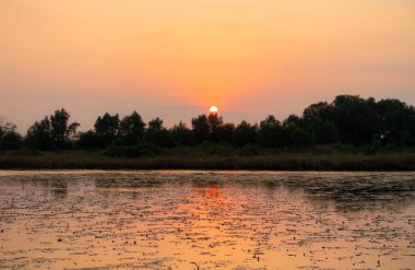 gökyüzü günbatımı arka plan, arka plan ile bulutlar.