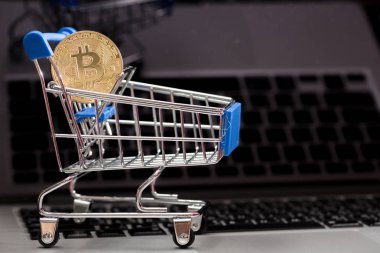 Bitcoin para madenciliğinin kapatılması İnternet Ağına bağlanıyor 