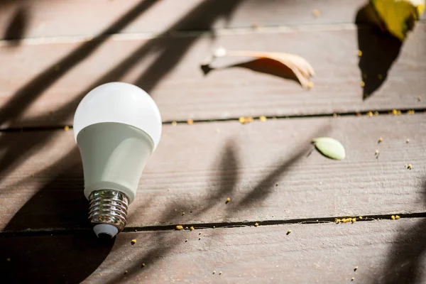 Energy saving LED BULB ECO With the environment