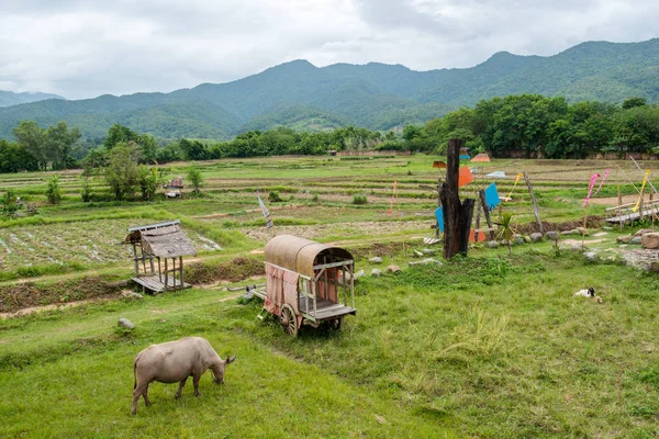 The Nature City Of North (farm) Mueang Nan, Thailand.