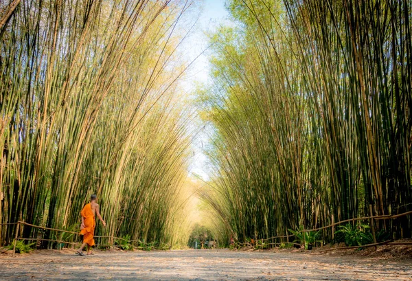 Tapınakta Bahçe,Tayland Buddha (Wat Chulapornwanaram) 