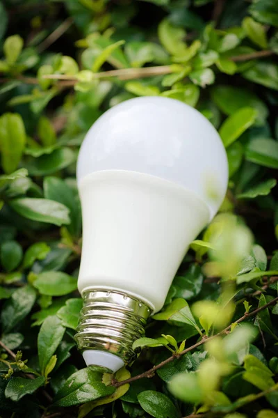 Ahorro Energía Led Bulb Eco Con Medio Ambiente — Foto de Stock