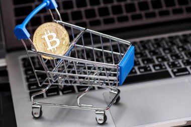 Bitcoin para madenciliğinin kapatılması İnternet Ağına bağlanıyor 