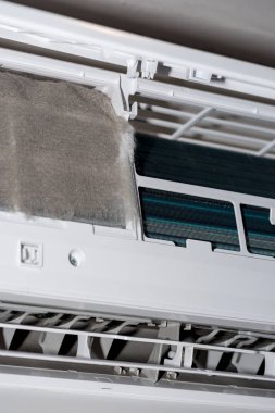 Evde temiz Klima (toz)