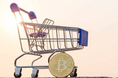 Bitcoin para madenciliğinin kapatılması İnternet Ağına bağlanıyor 