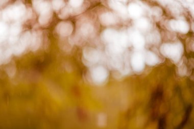 Soyut ışık bokeh arka plan, dairesel facula ve güzel duvar kağıdı. 