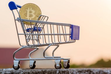 Bitcoin para madenciliğinin kapatılması İnternet Ağına bağlanıyor 