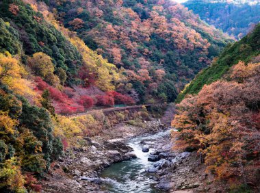 Arashiyama, Japonya 'nın Kyoto eyaletinde yer alan bir şehirdir. Ayrıca, Oei Nehri 'nin karşısındaki dağdan da bahseder, bu da bölgeye bir zemin oluşturur.. 