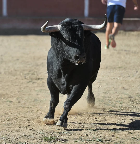 Toro Nero Spagna Esecuzione Bullring — Foto Stock