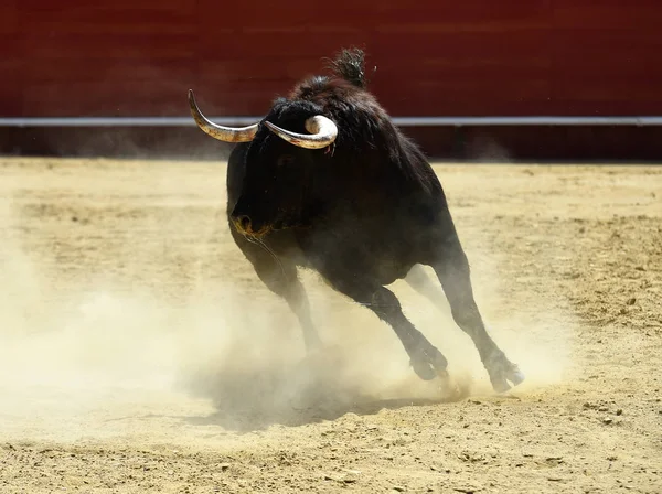 Big Bull Spain — Stock Photo, Image