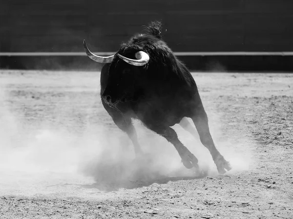 Raging bull Stock Photos, Royalty Free Raging bull Images | Depositphotos