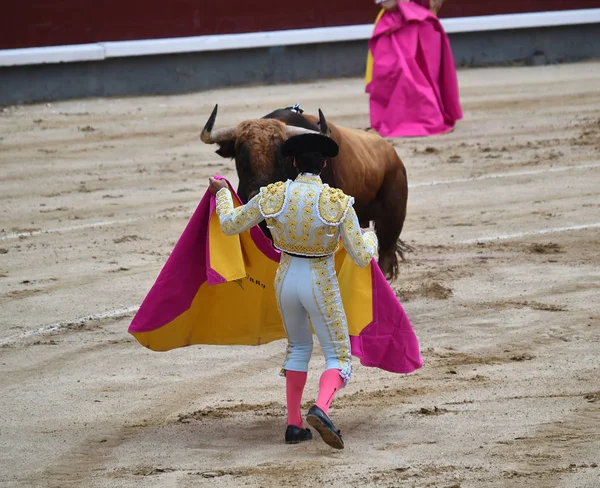 Bullfighting Espanha Com Grande Touro — Fotografia de Stock