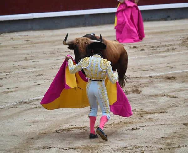 Corrida Spagna Con Grande Toro — Foto Stock