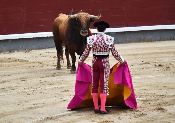 Bullfighting Espanha Com Grande Touro — Fotografia de Stock