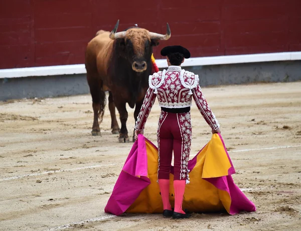 Tjurfäktning Spanien Med Stor Tjur — Stockfoto