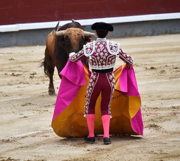 Stierkampf Spanien Mit Großem Stier — Stockfoto