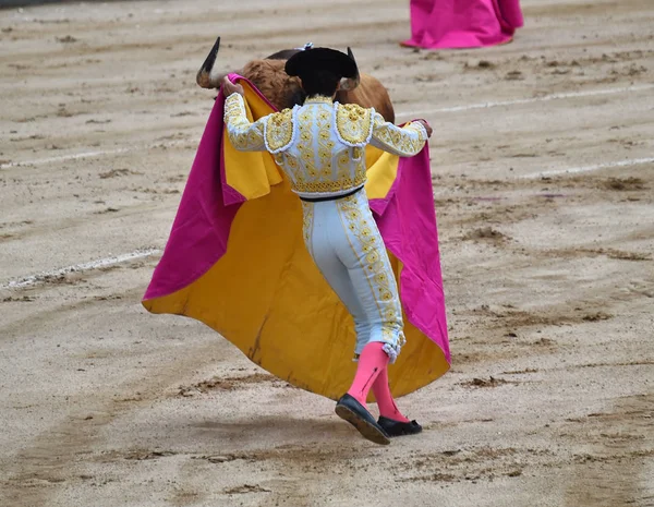 Corridas Toros España Con Gran Toro — Foto de Stock