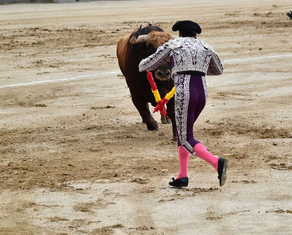 Tourada Espanha Com Grande Touro — Fotografia de Stock