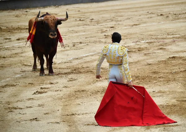 Ταυρομαχία Στην Ισπανία Μεγάλο Ταύρο — Φωτογραφία Αρχείου