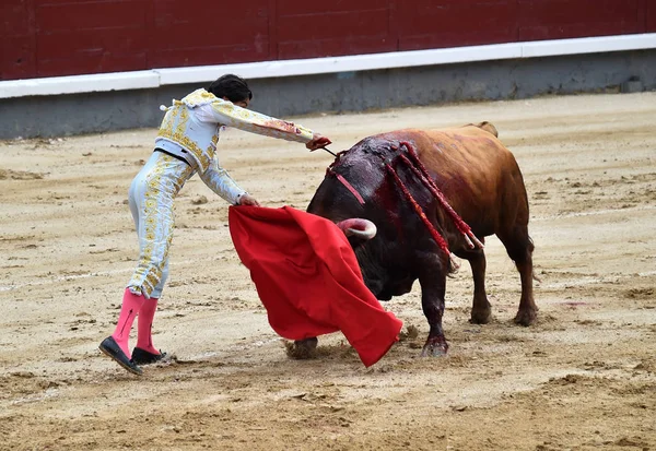 Stierenvechten Spanje Met Stier — Stockfoto