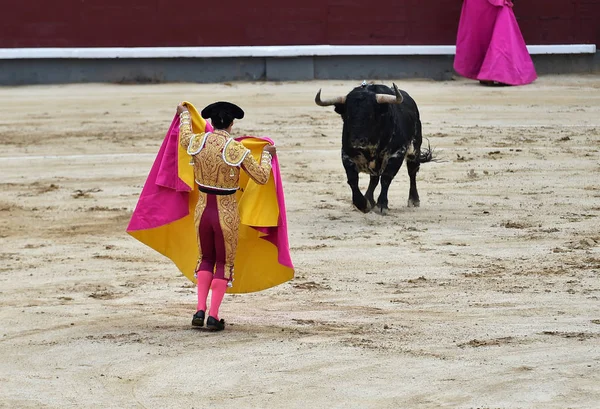 Stierenvechten Spanje Met Stier — Stockfoto