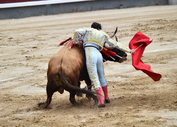 Tjurfäktning Spanien Med Bull — Stockfoto