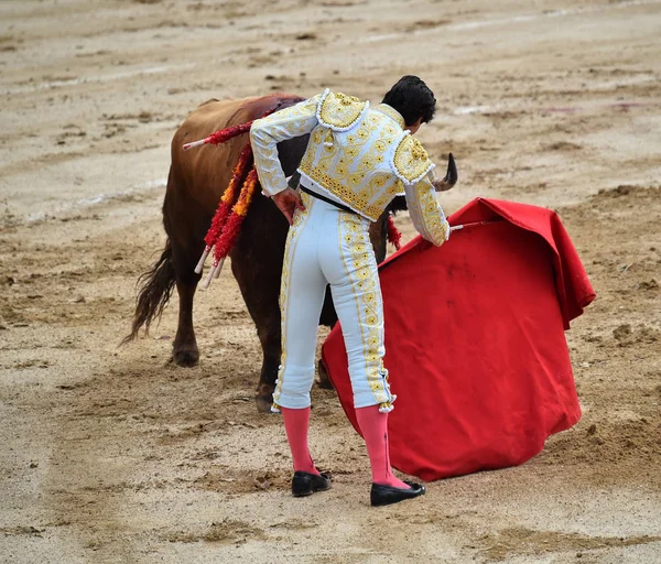 Tauromachie Espagne Avec Taureau — Photo