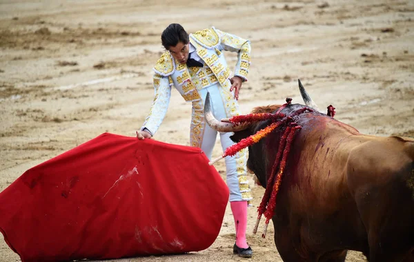 Toreo España Con Gran Toro — Foto de Stock