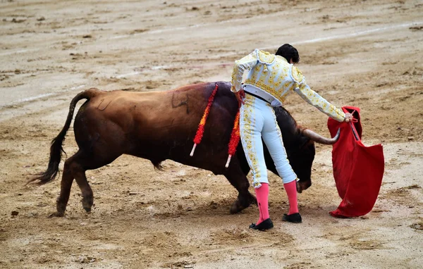 Tauromachie Espagne Avec Gros Taureau — Photo