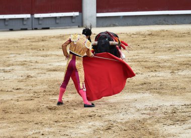 büyük boğa ile İspanya boğa güreşi
