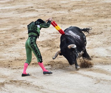 büyük boğa ile İspanya boğa güreşi