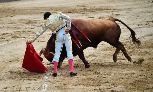 Bullfighting Espanha Com Grande Touro — Fotografia de Stock