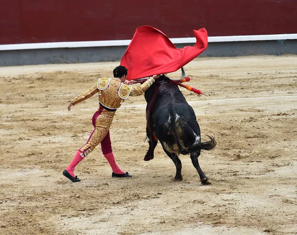 Tjurfäktning Spanien Med Stor Tjur — Stockfoto