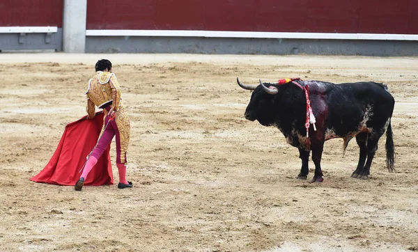 Toreo España Con Gran Toro —  Fotos de Stock