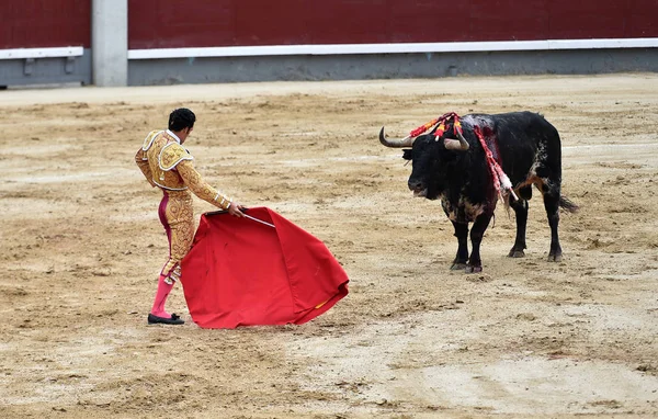 Ταυρομαχίες Στην Ισπανία Μεγάλο Ταύρο — Φωτογραφία Αρχείου