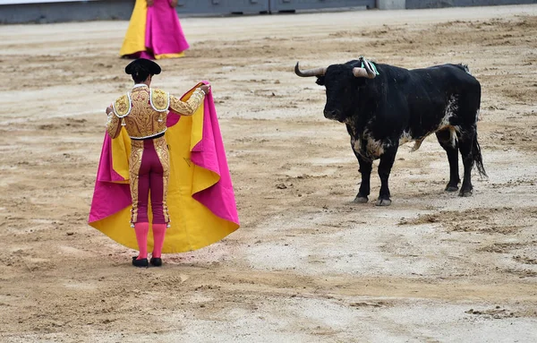 Bikaviadal Spanyolországban Nagy Bika — Stock Fotó