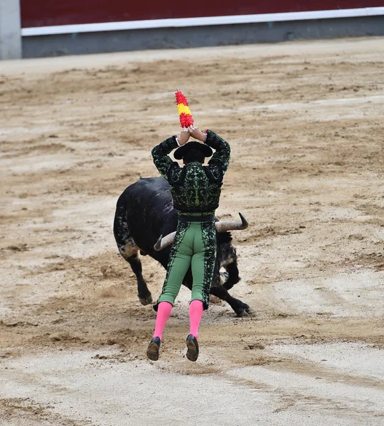 Stierenvechten Spanje Met Grote Stier — Stockfoto