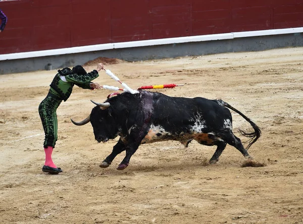 大きな牛とスペインの闘牛 — ストック写真