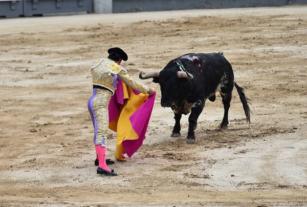 Tjurfäktning Spanien Med Stor Tjur — Stockfoto