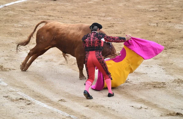 Tjurfäktning Spanien Med Stor Tjur — Stockfoto