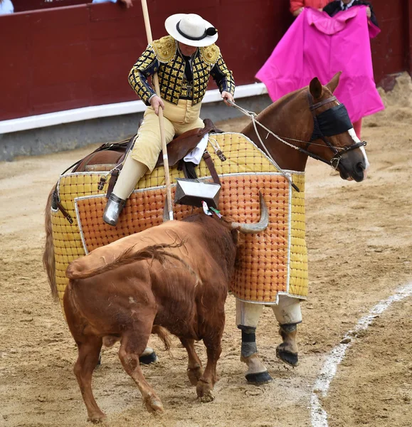 Tauromachie Espagne Avec Gros Taureau — Photo