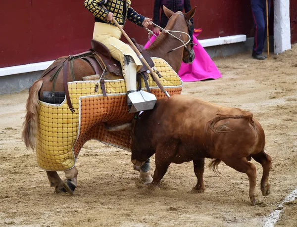 Toreo España Con Gran Toro —  Fotos de Stock