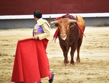 bullring İspanyol boğa
