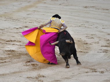 bullring İspanyol boğa