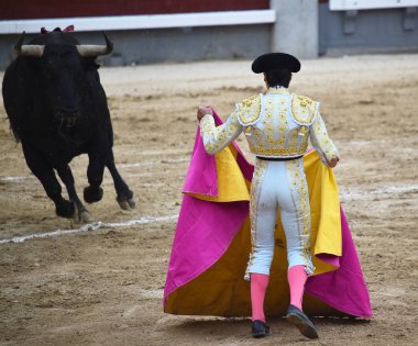 bullring İspanyol boğa