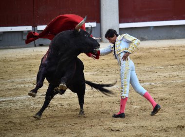 bullring İspanyol boğa