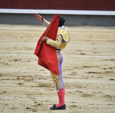 bullring İspanyol boğa