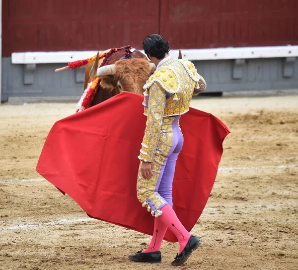 Toreo España Con Gran Toro — Foto de Stock