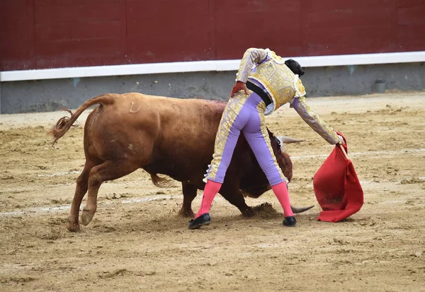 Stierenvechten Spanje Met Grote Stier — Stockfoto