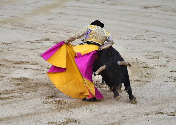 Bullring Spanyol Boğa — Stok fotoğraf